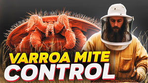 Controlling Your Varroa Mite Population
