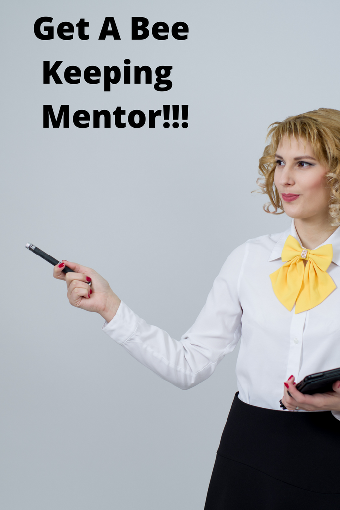 The Case for a Mentor