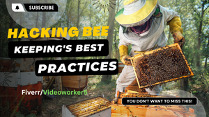 Engineering Your Bee Hives For Success