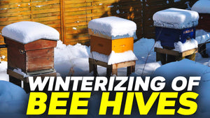 Winterizing Your Hives