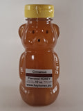 Cinnamon Flavored Honey 12oz bear-shaped jar — Michigan raw honey with warm cinnamon flavor | HeyHoney.biz