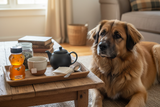 Lemon Honey Bear Tea Tray with Leonberger