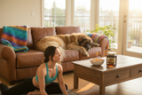 Leonberger dog sprawled on a leather couch with colorful throw blankets, brunette woman in yoga gear doing pigeon pose beside a coffee table with honey-drizzled granola and Turkish Sunflower honey jar in morning light | HeyHoney.biz